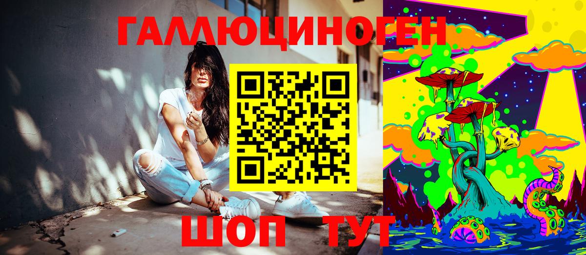Сухой Лог  Галлюциногенные грибы Psilocybe  Вход с VPN 