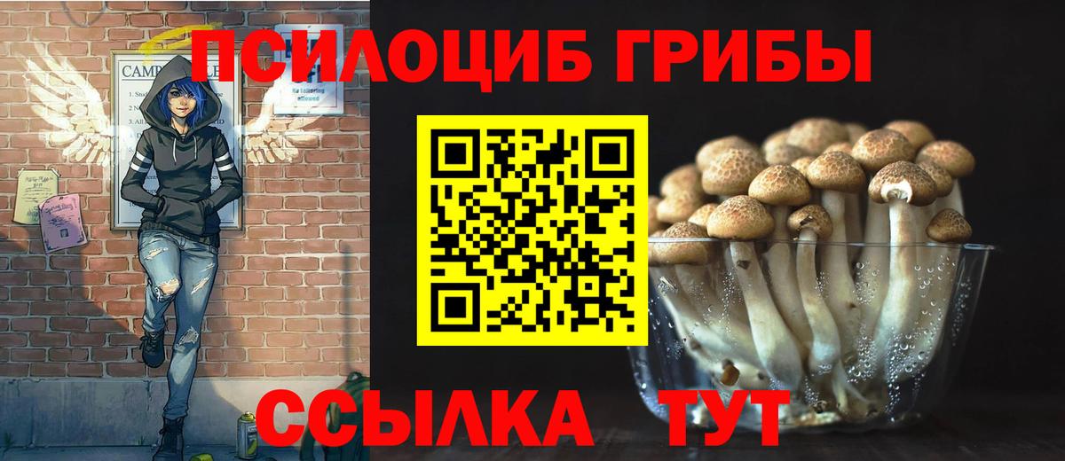 Галлюциногенные грибы прущие грибы Сухой Лог